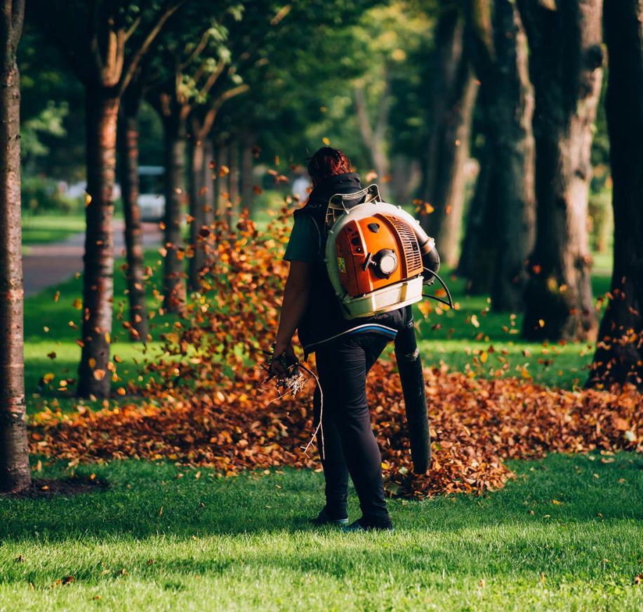 HERBSTSCHNITT & GARTENPFLEGE