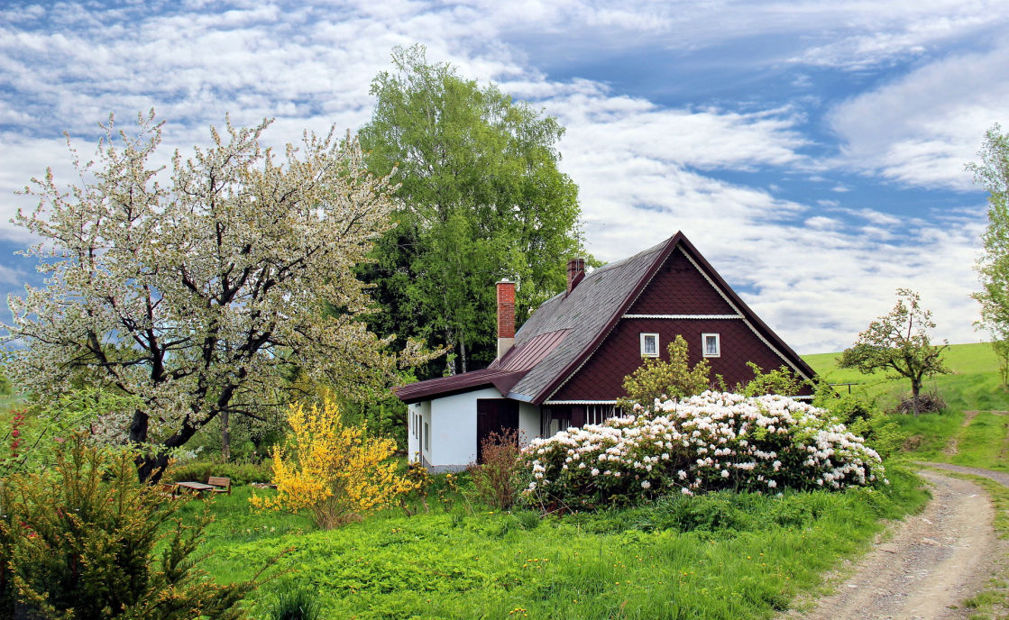 Referenz Gartenpflege / Hauswartung