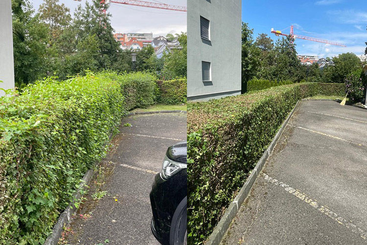 Referenz Gartenpflege / Hauswartung